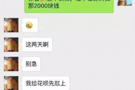 嘉鱼讨债公司